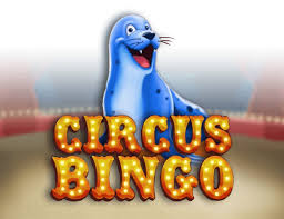 Circus Bingo: Revisión completa del juego