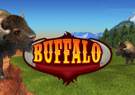 Buffalo Bingo: Revisión completa del juego