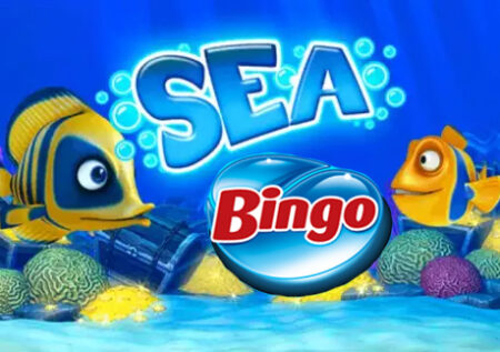 Sea Bingo: Revisión completa del juego