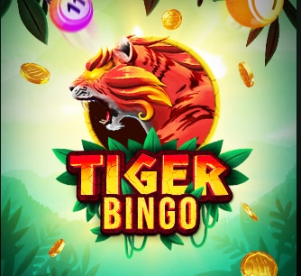 Bingo Tigre: un análisis completo del juego